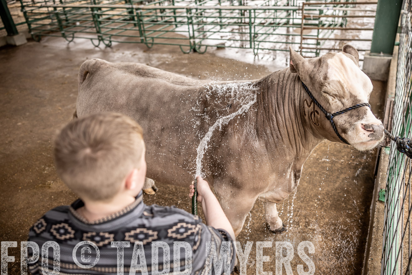 TMyers_PlotTwist_HEB_ConroeTX_April2024-516468