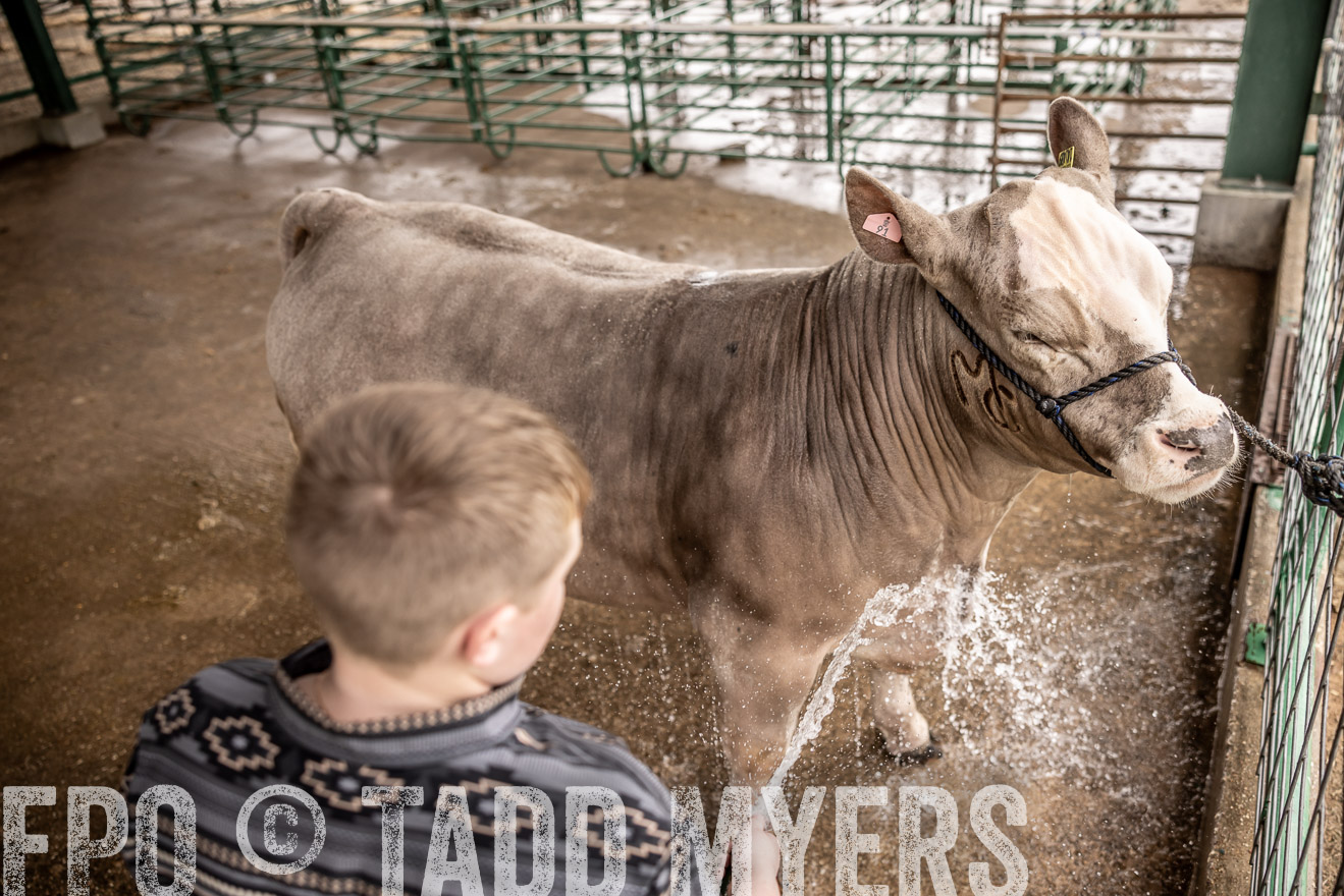 TMyers_PlotTwist_HEB_ConroeTX_April2024-516473