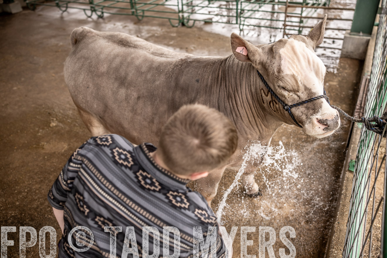 TMyers_PlotTwist_HEB_ConroeTX_April2024-516479