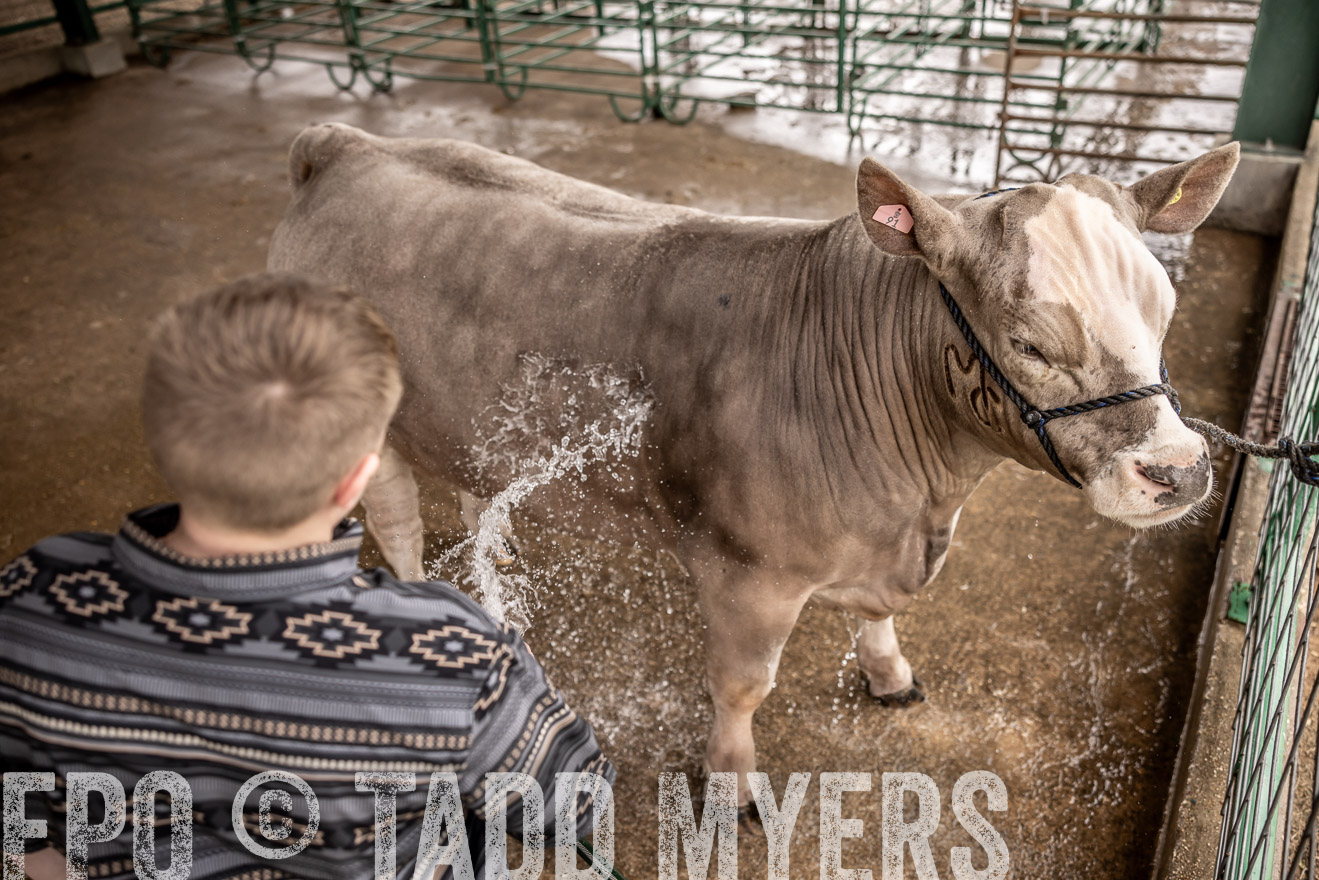TMyers_PlotTwist_HEB_ConroeTX_April2024-516485