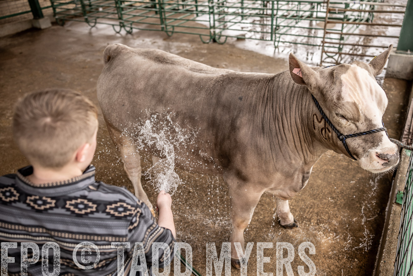 TMyers_PlotTwist_HEB_ConroeTX_April2024-516486