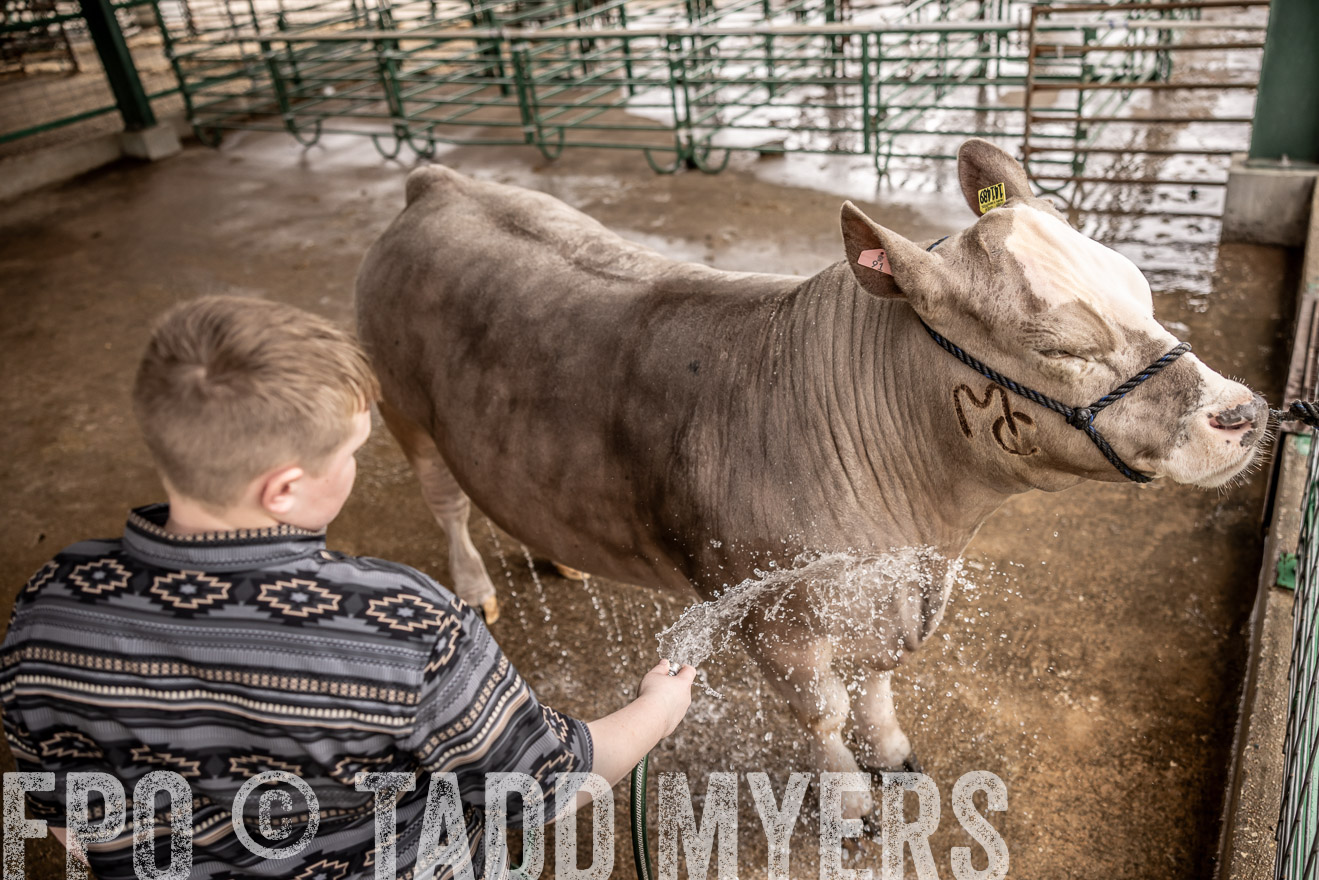 TMyers_PlotTwist_HEB_ConroeTX_April2024-516505