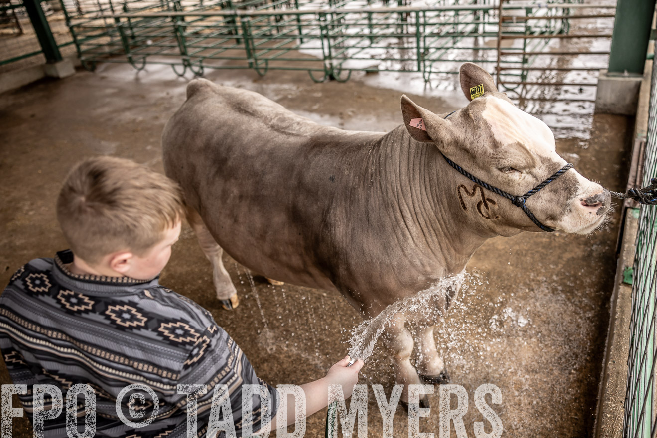 TMyers_PlotTwist_HEB_ConroeTX_April2024-516509