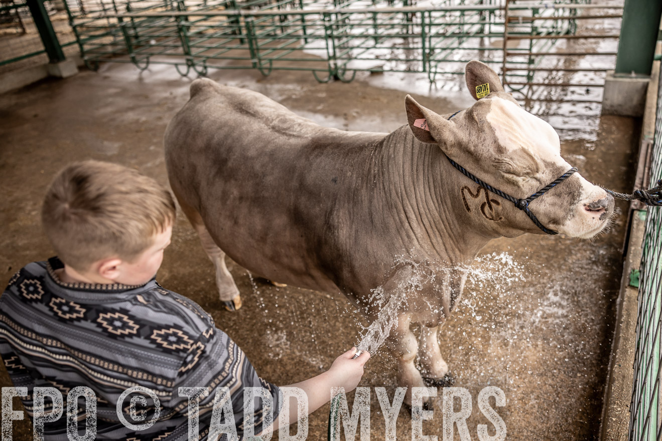 TMyers_PlotTwist_HEB_ConroeTX_April2024-516510