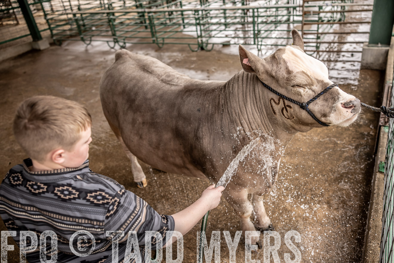 TMyers_PlotTwist_HEB_ConroeTX_April2024-516513