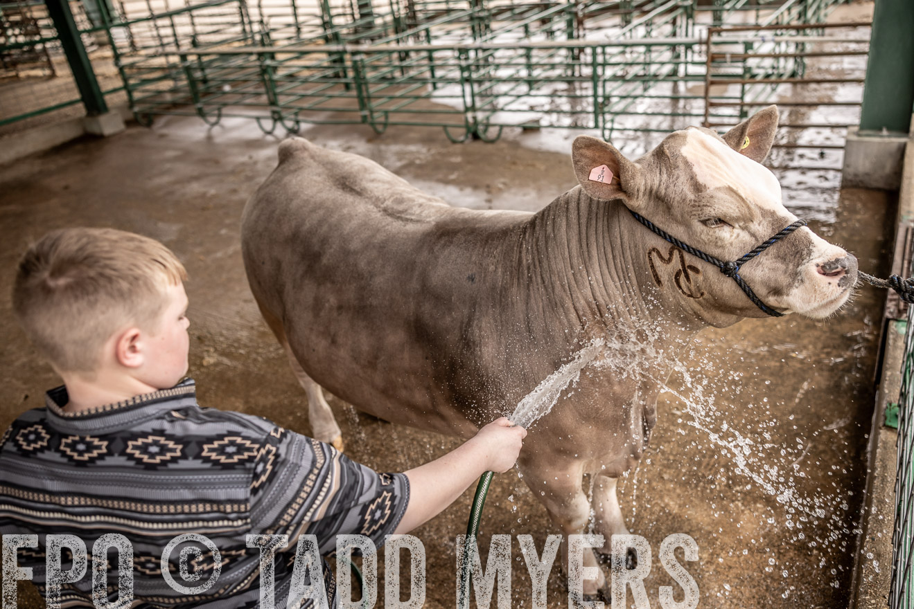 TMyers_PlotTwist_HEB_ConroeTX_April2024-516516