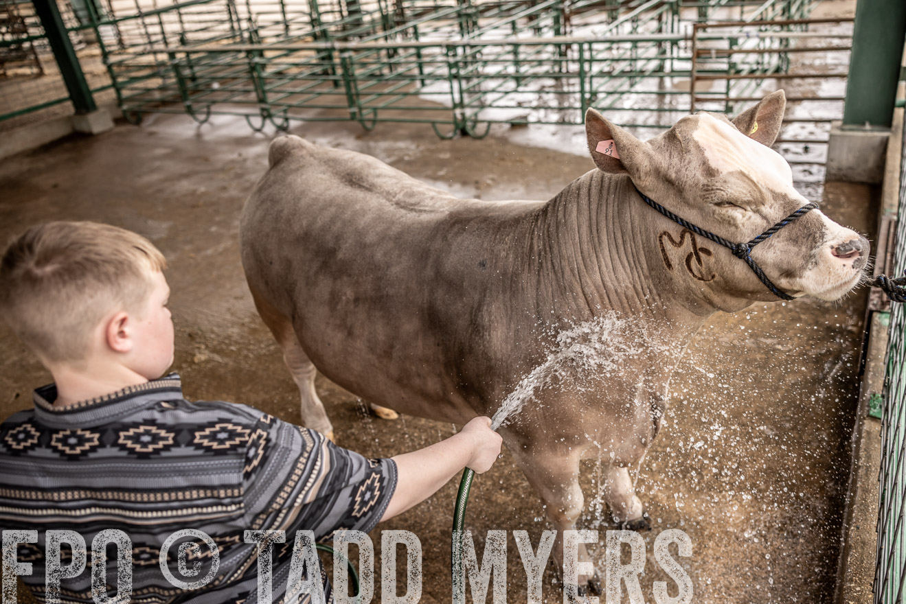 TMyers_PlotTwist_HEB_ConroeTX_April2024-516520