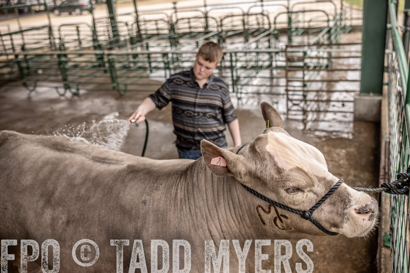 TMyers_PlotTwist_HEB_ConroeTX_April2024-516525