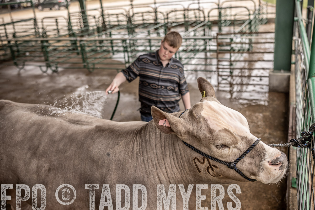 TMyers_PlotTwist_HEB_ConroeTX_April2024-516526