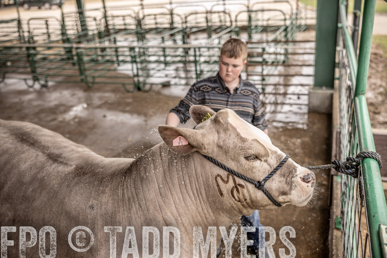 TMyers_PlotTwist_HEB_ConroeTX_April2024-516536