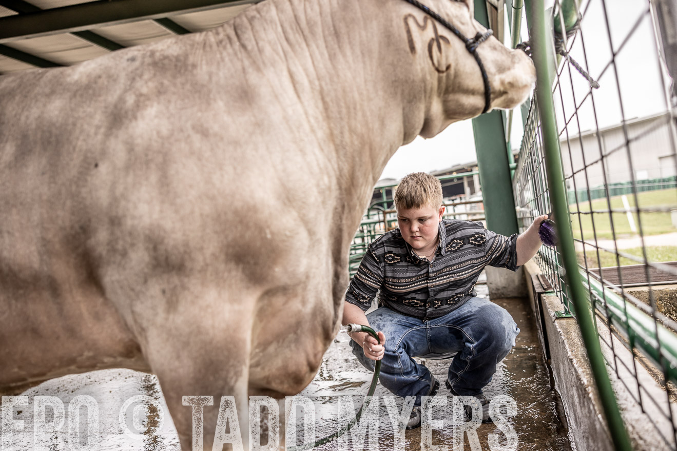 TMyers_PlotTwist_HEB_ConroeTX_April2024-516545