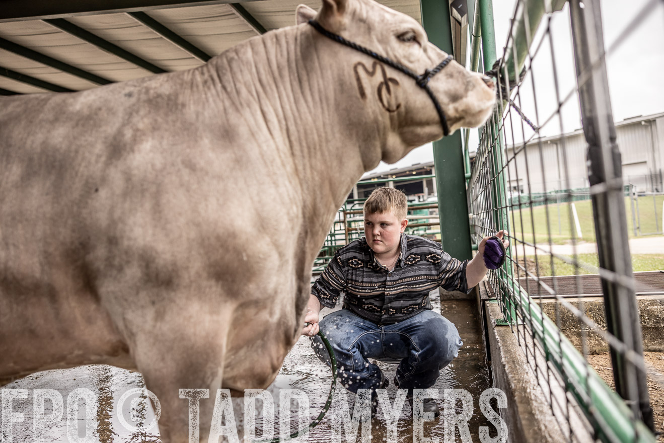 TMyers_PlotTwist_HEB_ConroeTX_April2024-516559