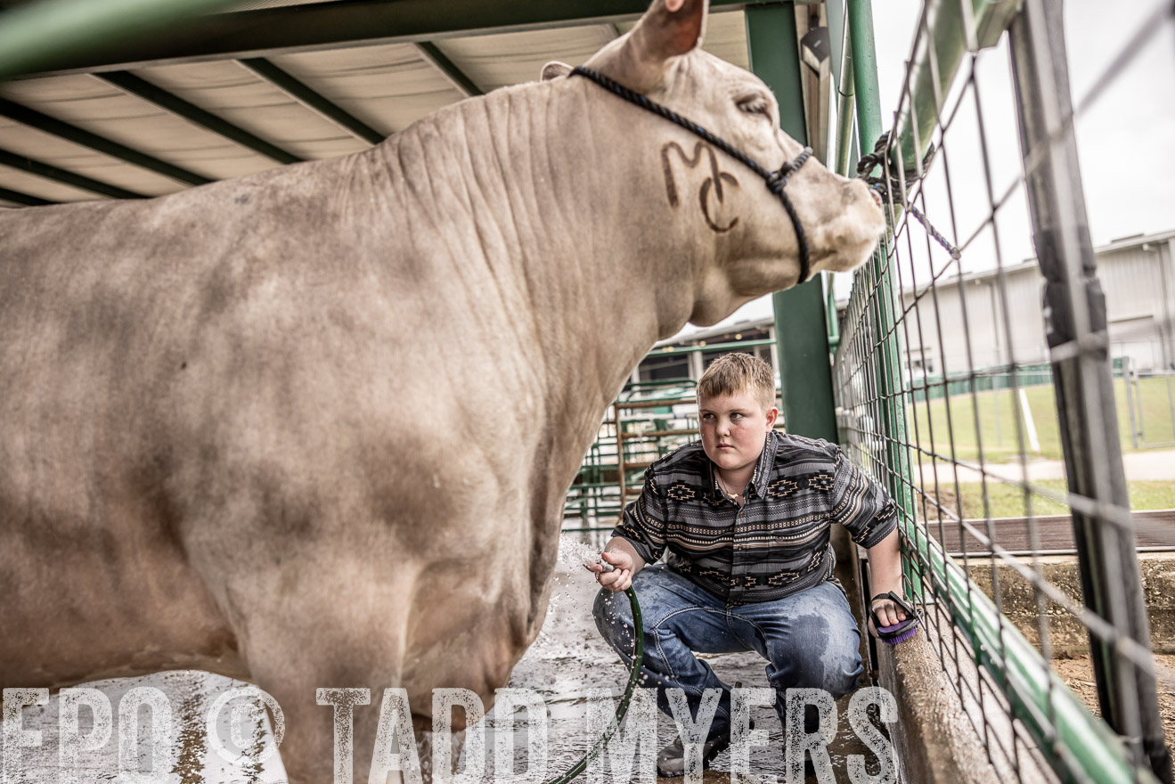 TMyers_PlotTwist_HEB_ConroeTX_April2024-516571
