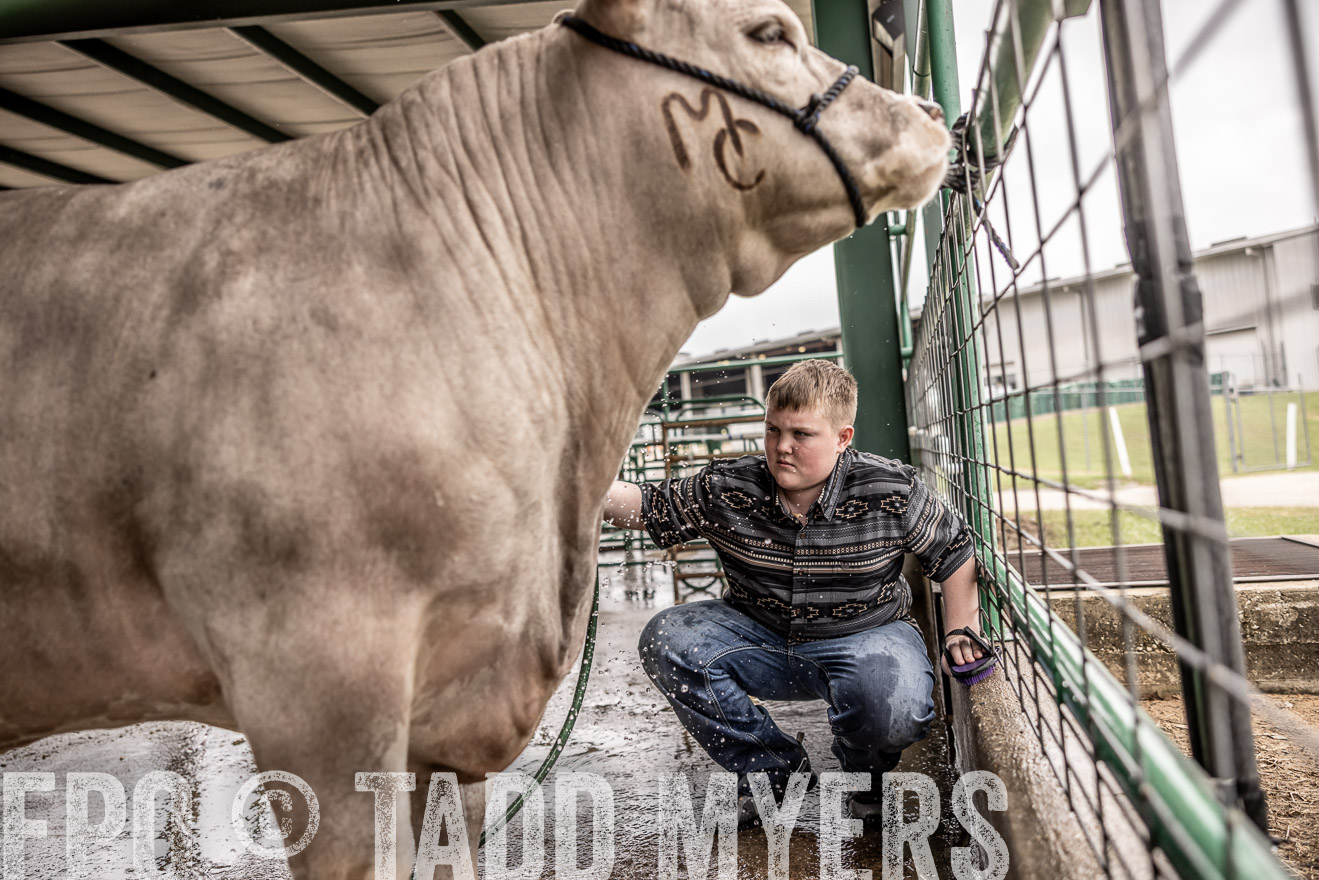 TMyers_PlotTwist_HEB_ConroeTX_April2024-516577