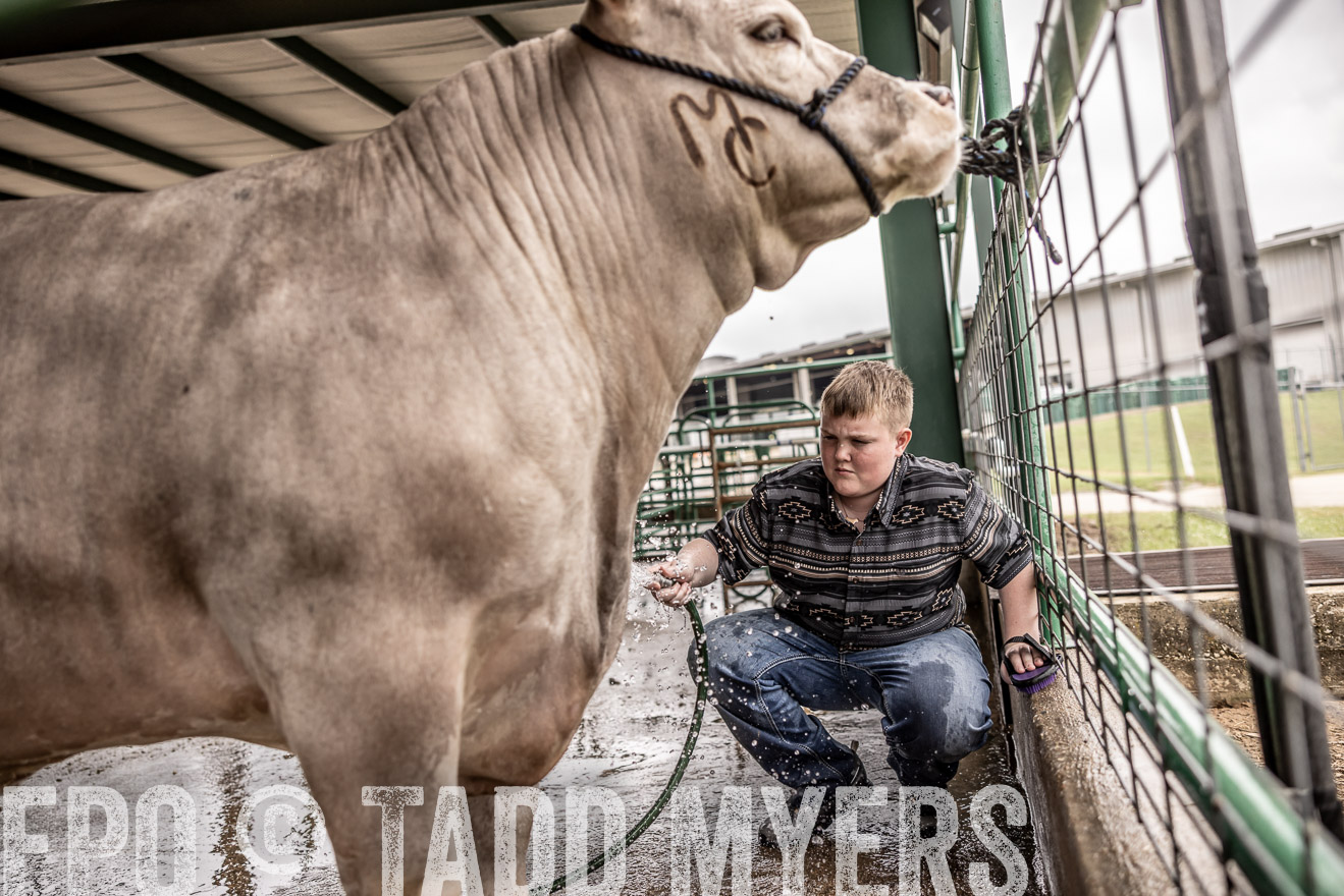 TMyers_PlotTwist_HEB_ConroeTX_April2024-516581