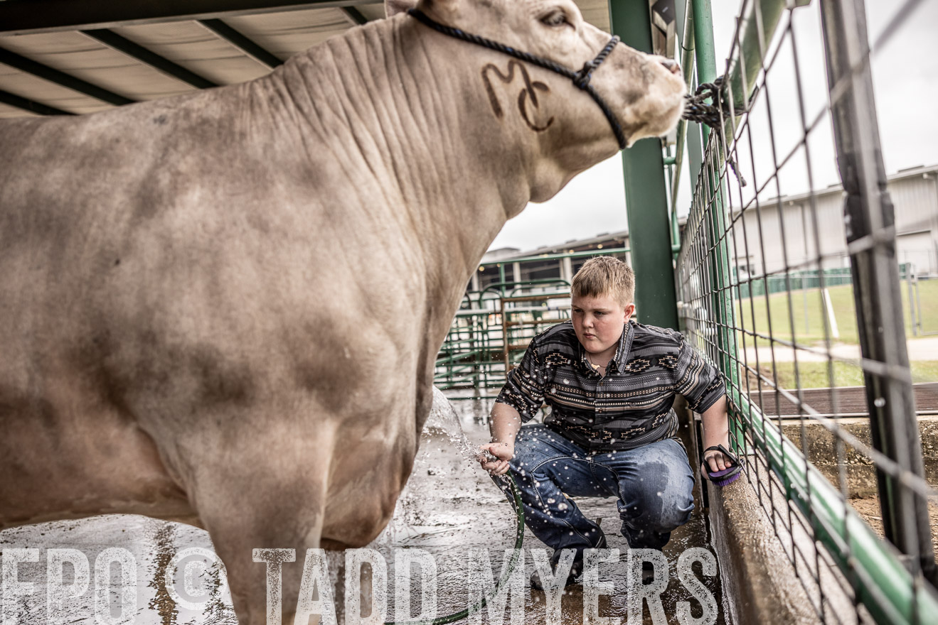 TMyers_PlotTwist_HEB_ConroeTX_April2024-516584