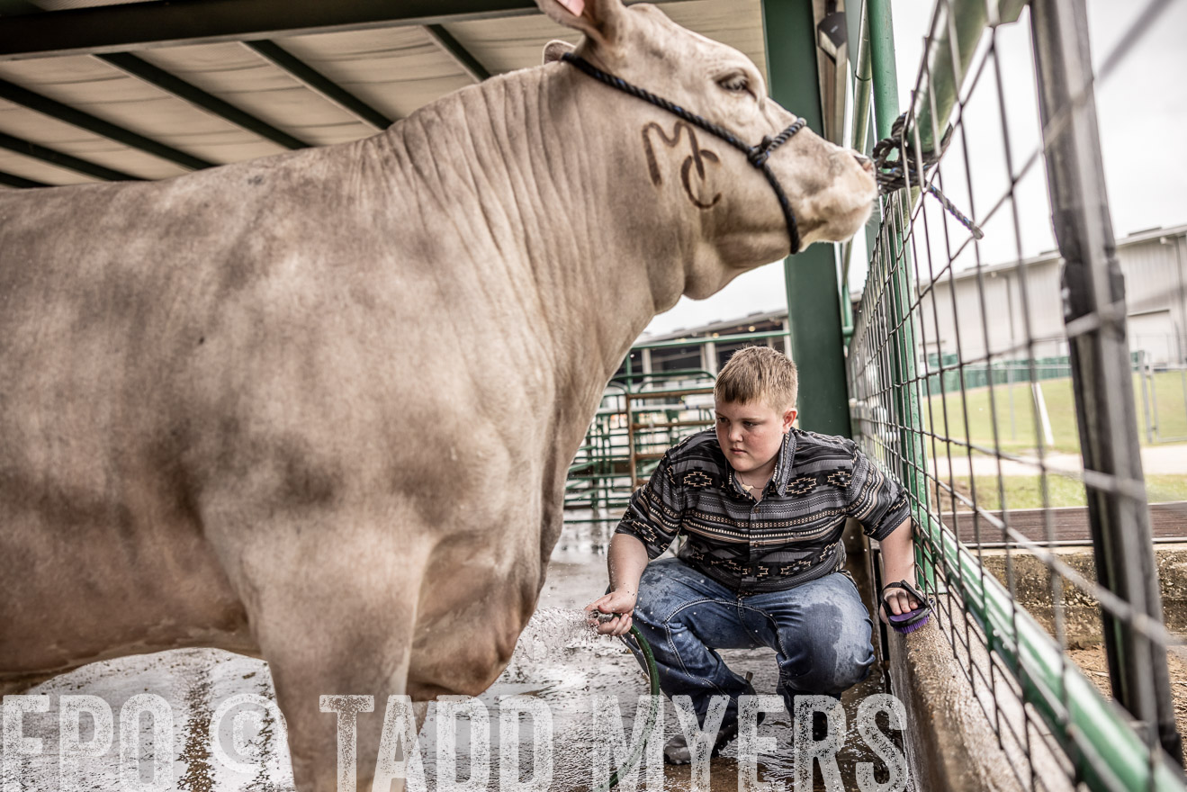 TMyers_PlotTwist_HEB_ConroeTX_April2024-516587