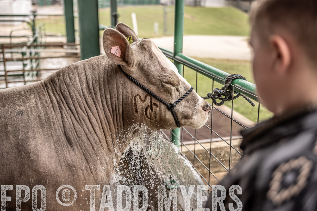 TMyers_PlotTwist_HEB_ConroeTX_April2024-516602
