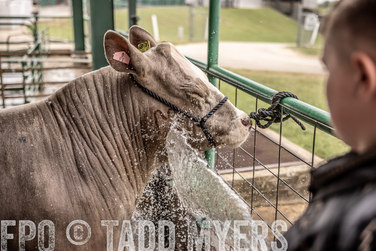 TMyers_PlotTwist_HEB_ConroeTX_April2024-516604