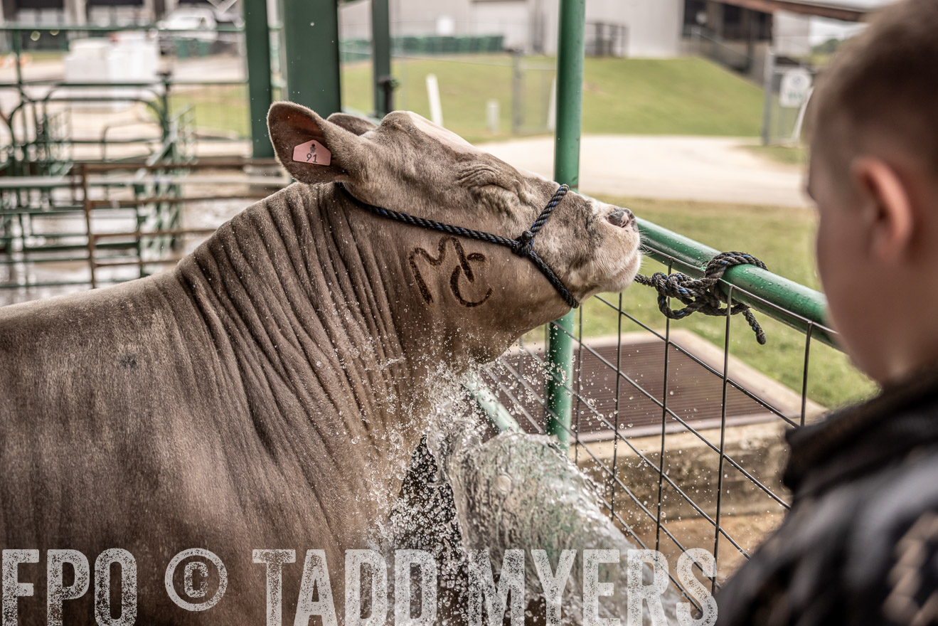 TMyers_PlotTwist_HEB_ConroeTX_April2024-516607