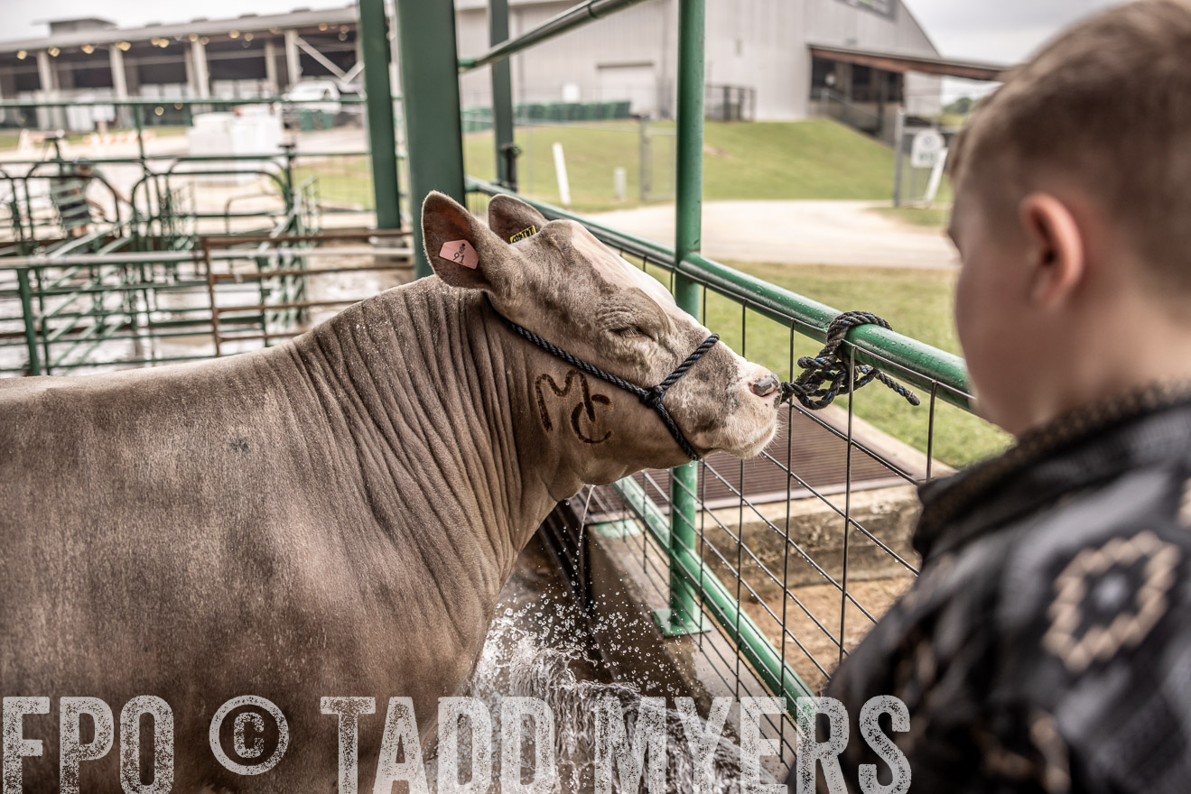 TMyers_PlotTwist_HEB_ConroeTX_April2024-516619