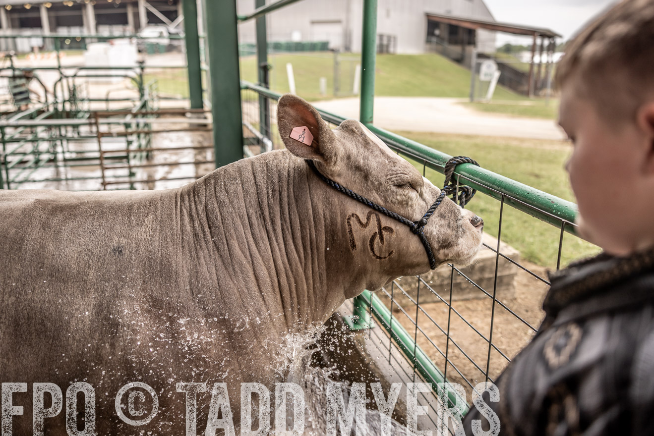 TMyers_PlotTwist_HEB_ConroeTX_April2024-516623