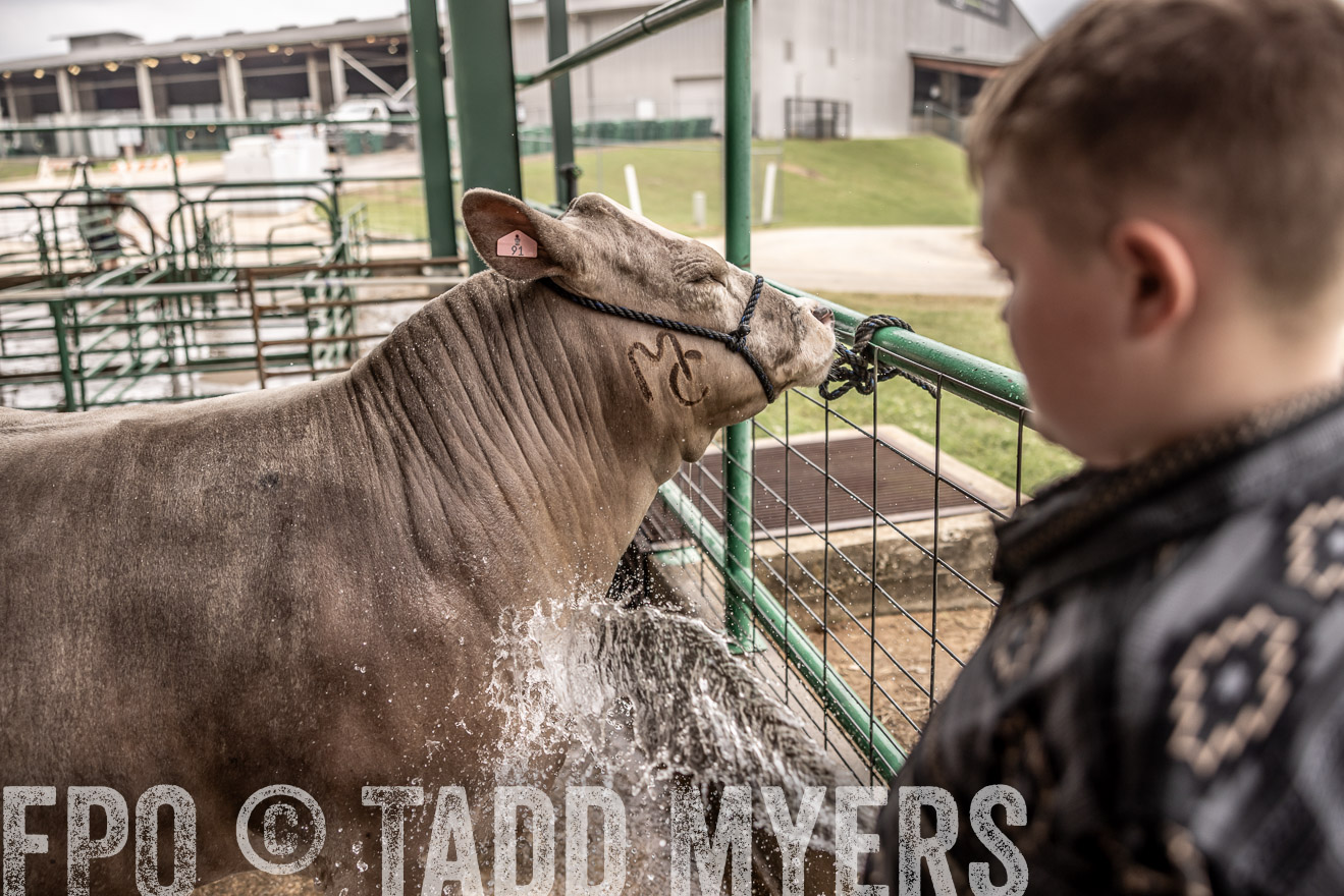 TMyers_PlotTwist_HEB_ConroeTX_April2024-516625