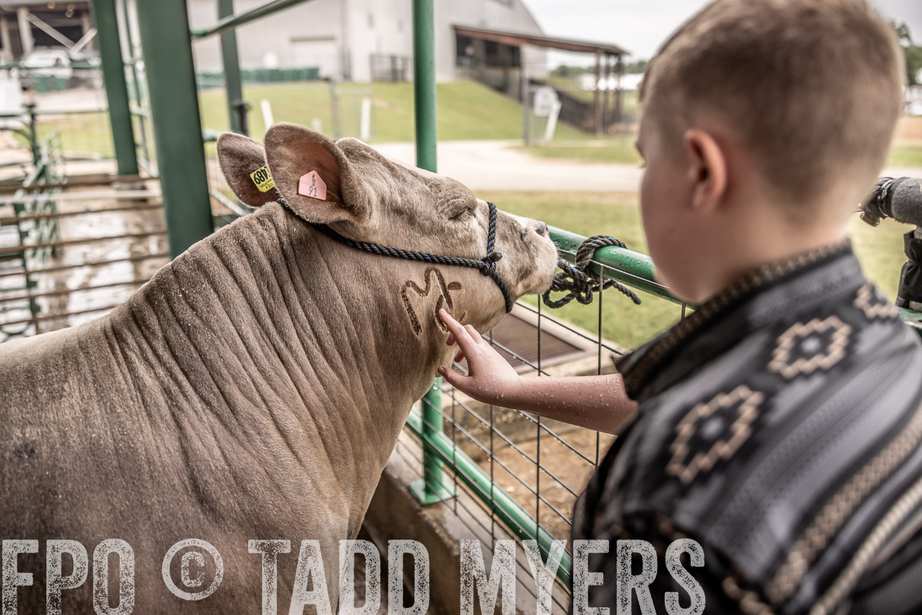 TMyers_PlotTwist_HEB_ConroeTX_April2024-516632