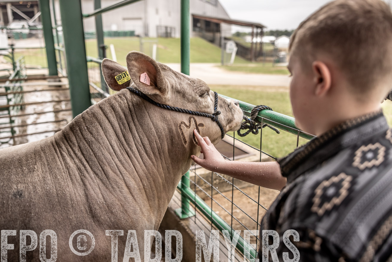 TMyers_PlotTwist_HEB_ConroeTX_April2024-516634