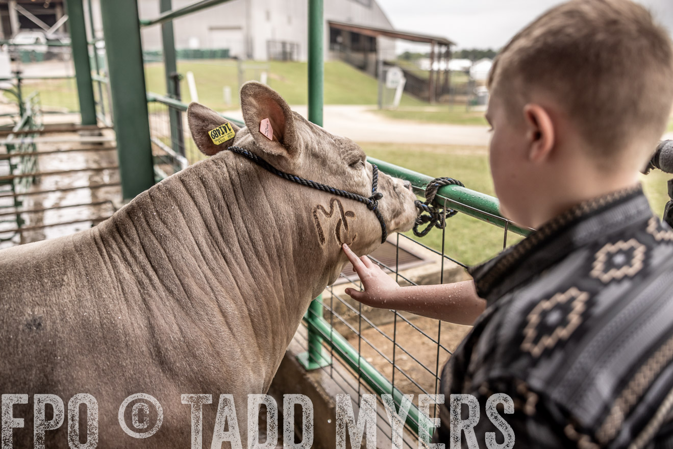 TMyers_PlotTwist_HEB_ConroeTX_April2024-516637