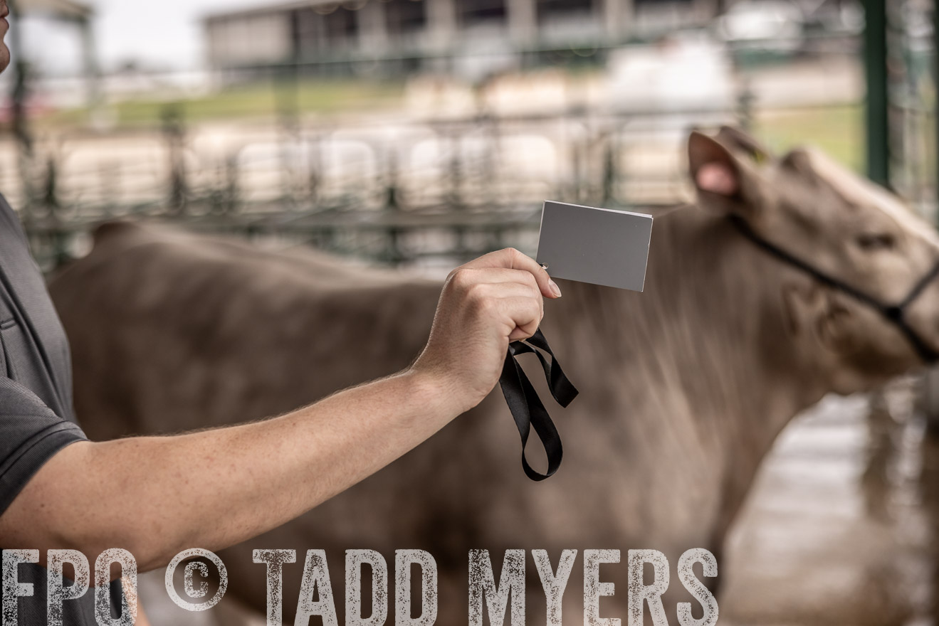 TMyers_PlotTwist_HEB_ConroeTX_April2024-516647