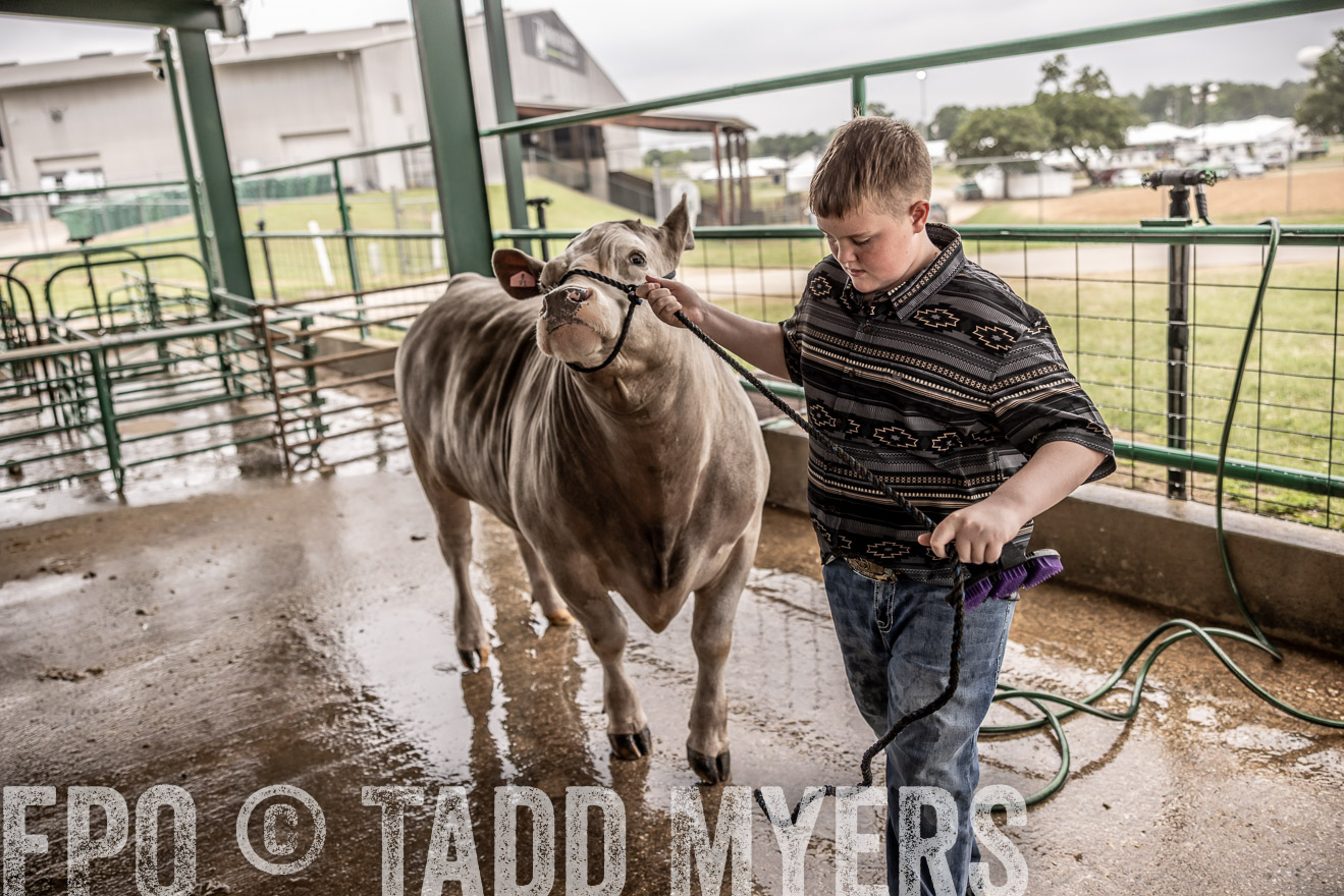 TMyers_PlotTwist_HEB_ConroeTX_April2024-516650
