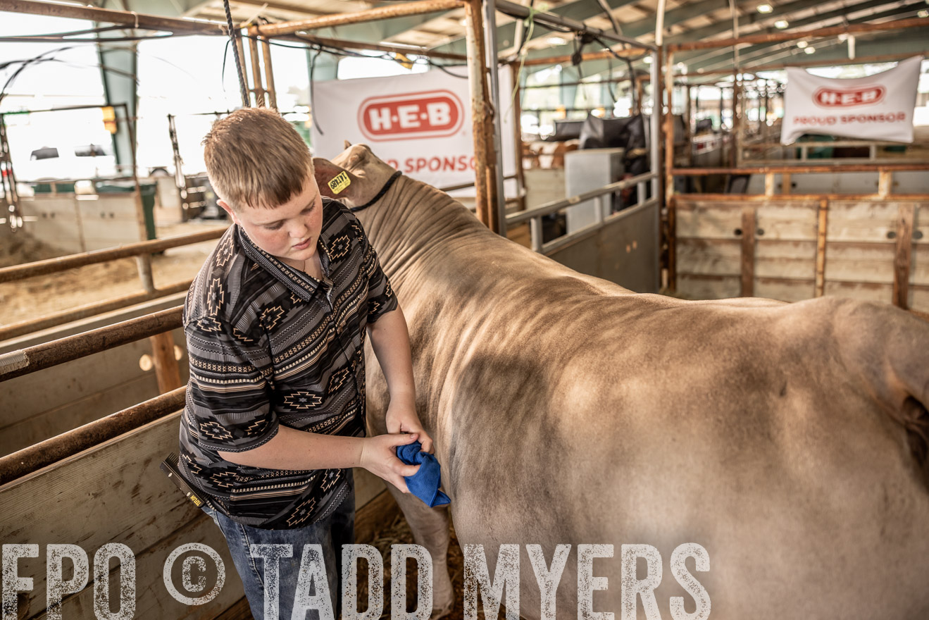 TMyers_PlotTwist_HEB_ConroeTX_April2024-516670