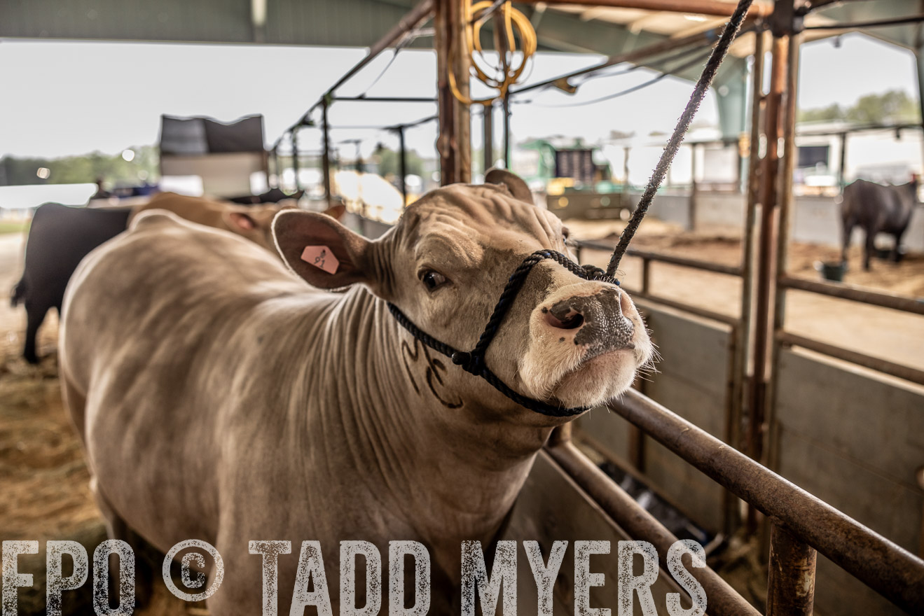 TMyers_PlotTwist_HEB_ConroeTX_April2024-516672