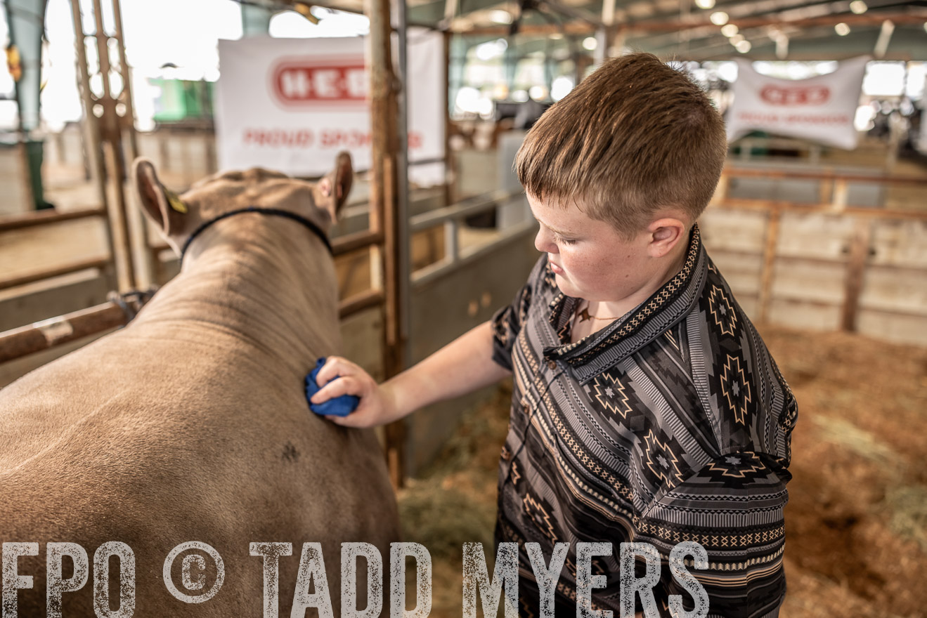 TMyers_PlotTwist_HEB_ConroeTX_April2024-516692
