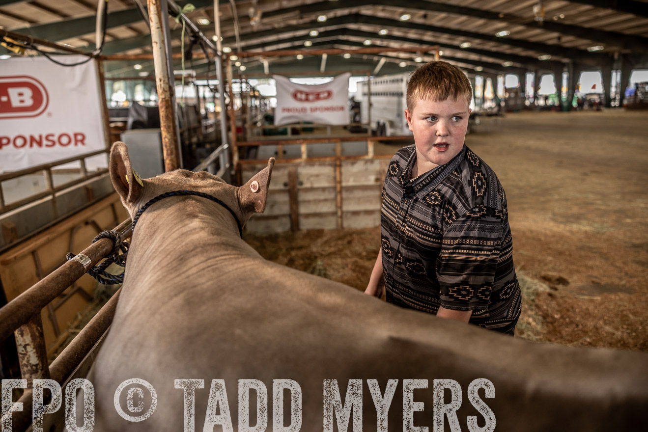 TMyers_PlotTwist_HEB_ConroeTX_April2024-516711