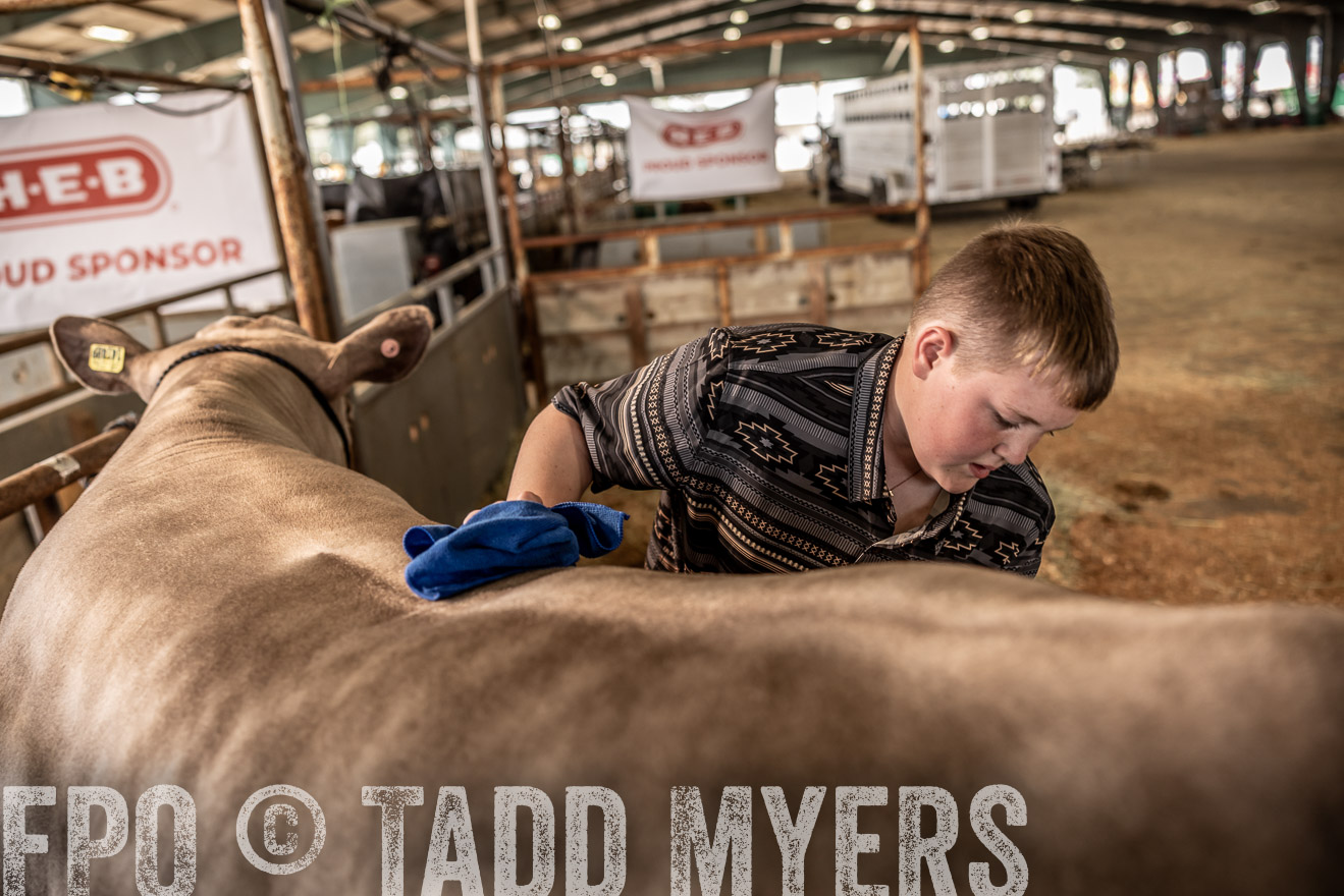 TMyers_PlotTwist_HEB_ConroeTX_April2024-516720