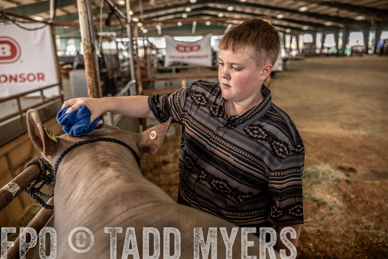 TMyers_PlotTwist_HEB_ConroeTX_April2024-516739