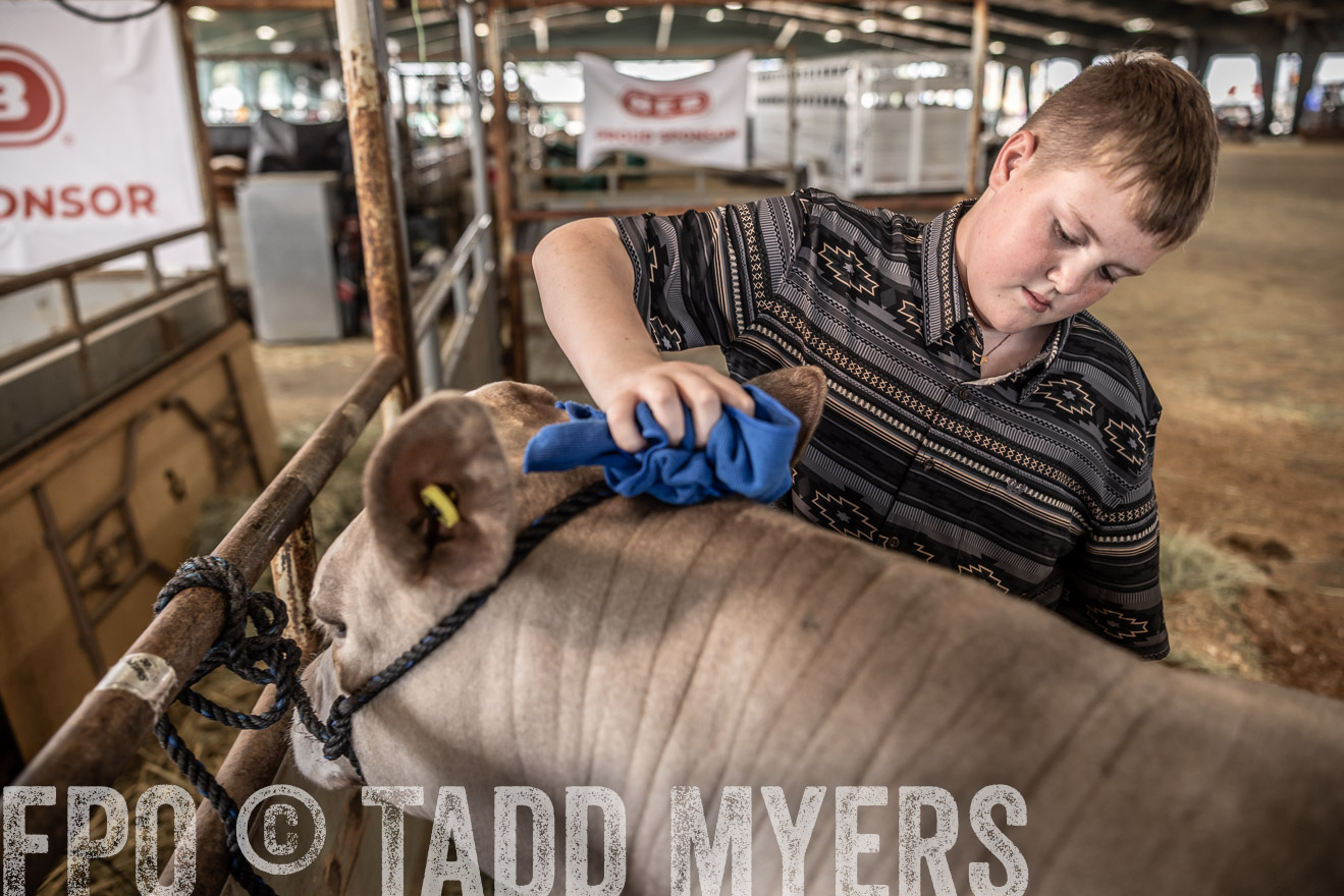 TMyers_PlotTwist_HEB_ConroeTX_April2024-516748