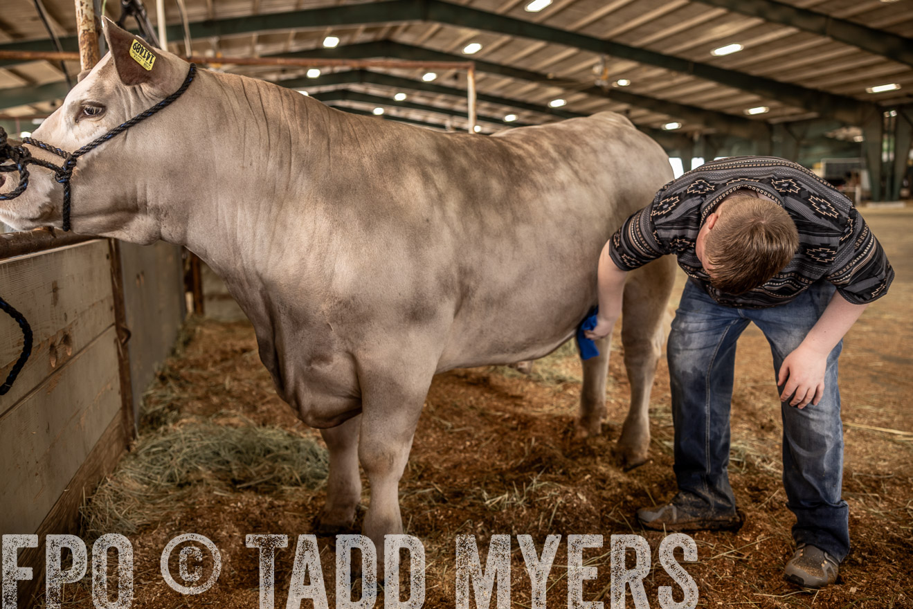 TMyers_PlotTwist_HEB_ConroeTX_April2024-516773