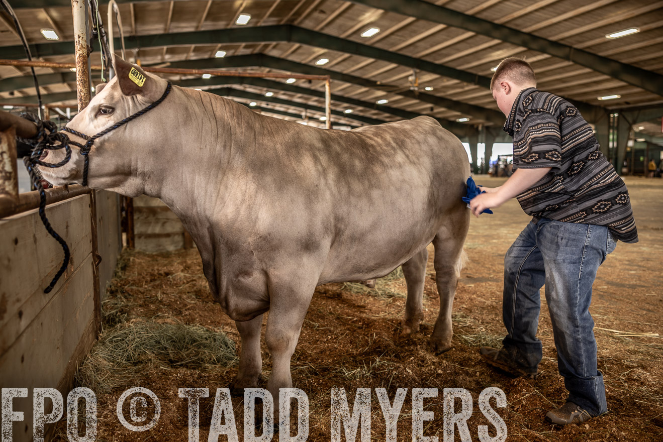 TMyers_PlotTwist_HEB_ConroeTX_April2024-516774