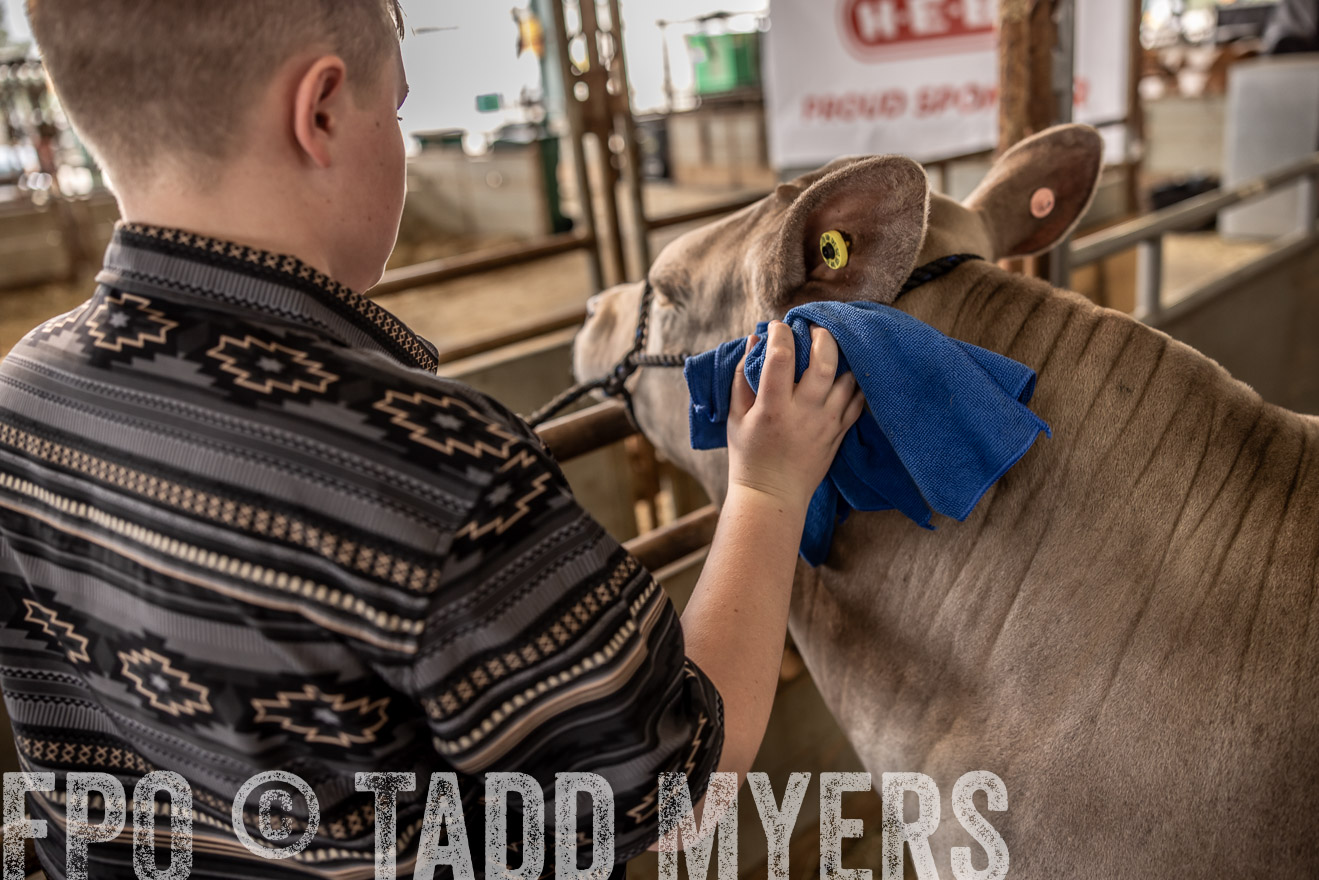 TMyers_PlotTwist_HEB_ConroeTX_April2024-516781