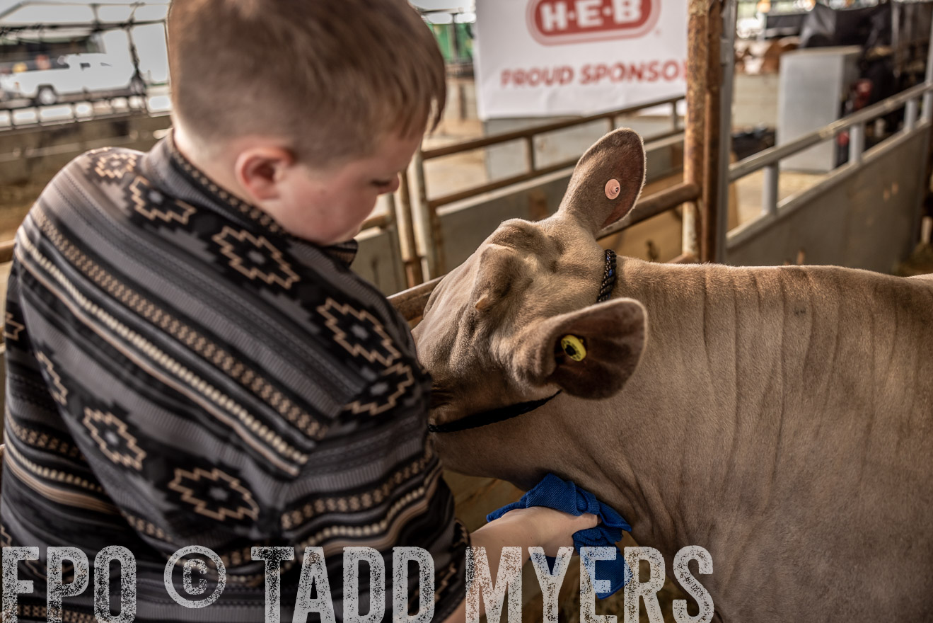 TMyers_PlotTwist_HEB_ConroeTX_April2024-516782