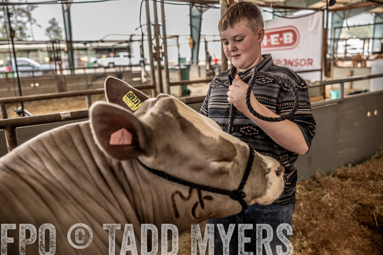 TMyers_PlotTwist_HEB_ConroeTX_April2024-516825