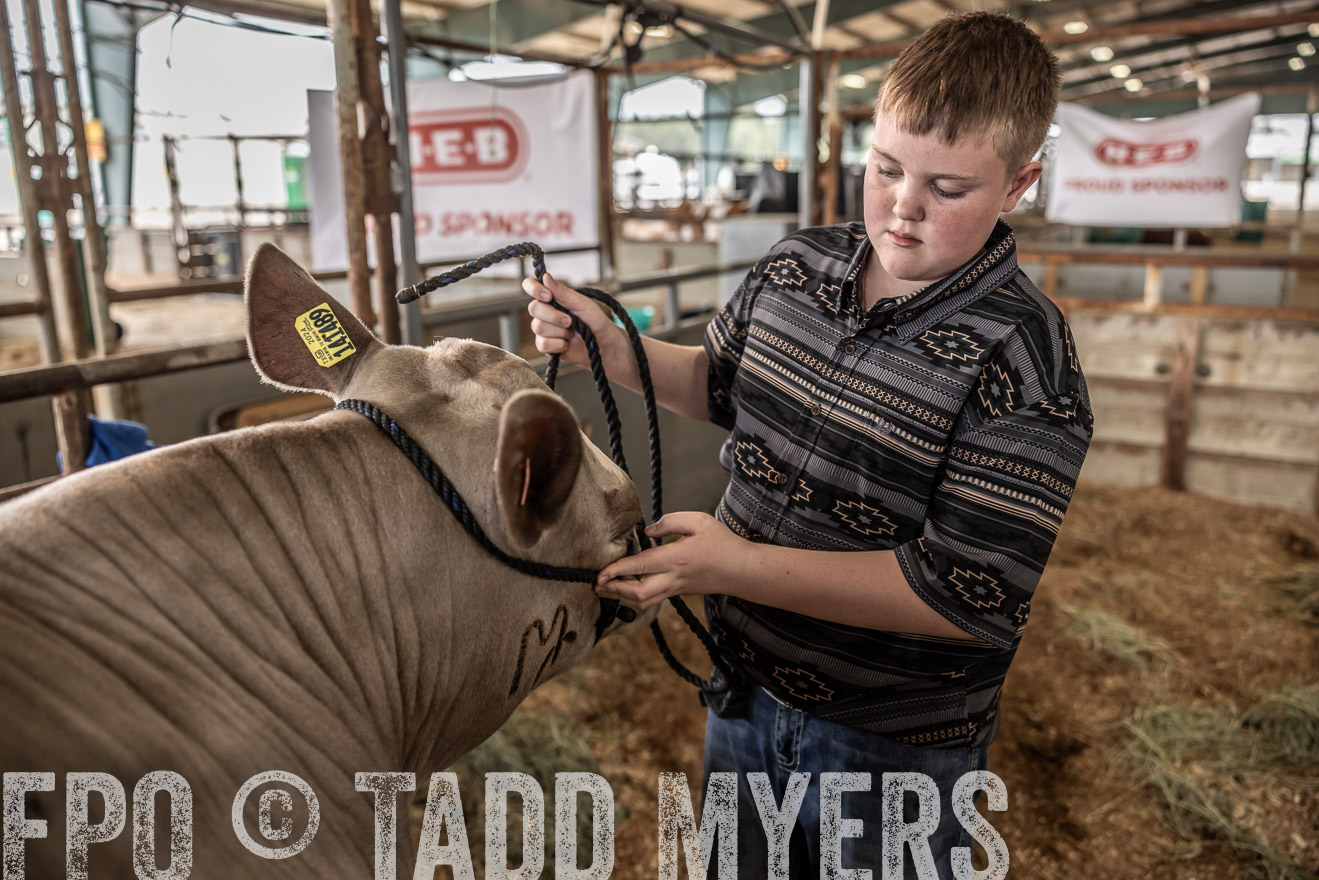 TMyers_PlotTwist_HEB_ConroeTX_April2024-516845
