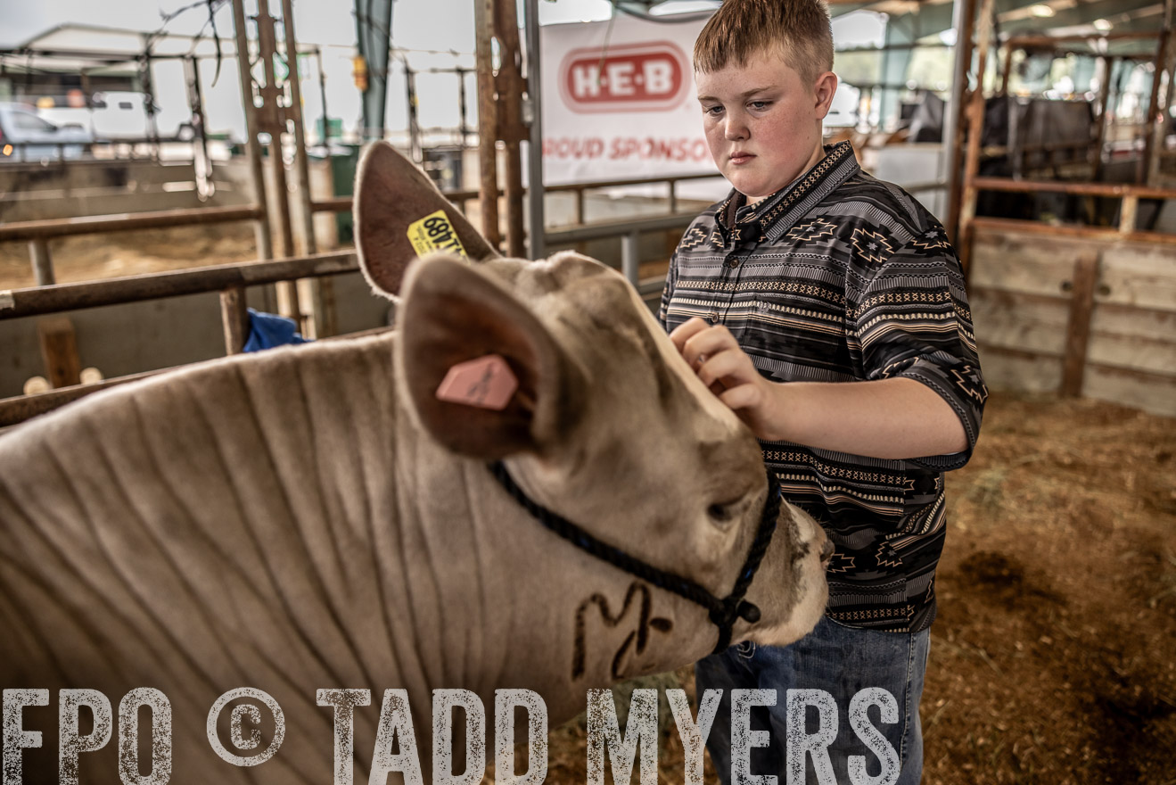 TMyers_PlotTwist_HEB_ConroeTX_April2024-516849