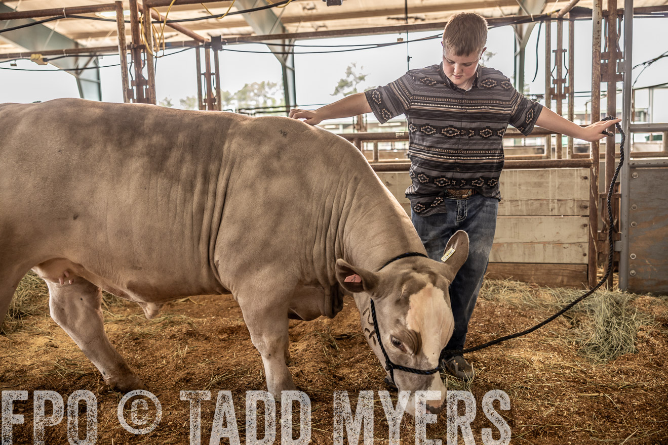 TMyers_PlotTwist_HEB_ConroeTX_April2024-516874