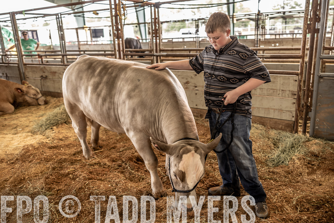 TMyers_PlotTwist_HEB_ConroeTX_April2024-516879