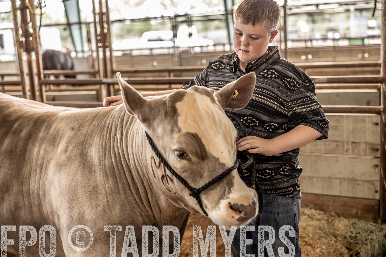 TMyers_PlotTwist_HEB_ConroeTX_April2024-516881