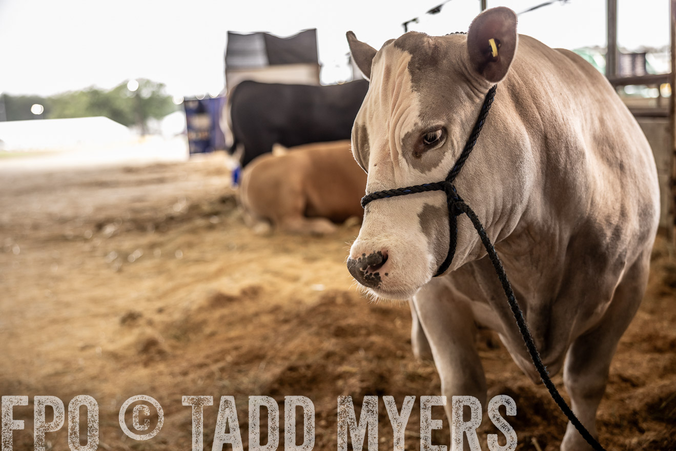 TMyers_PlotTwist_HEB_ConroeTX_April2024-516885